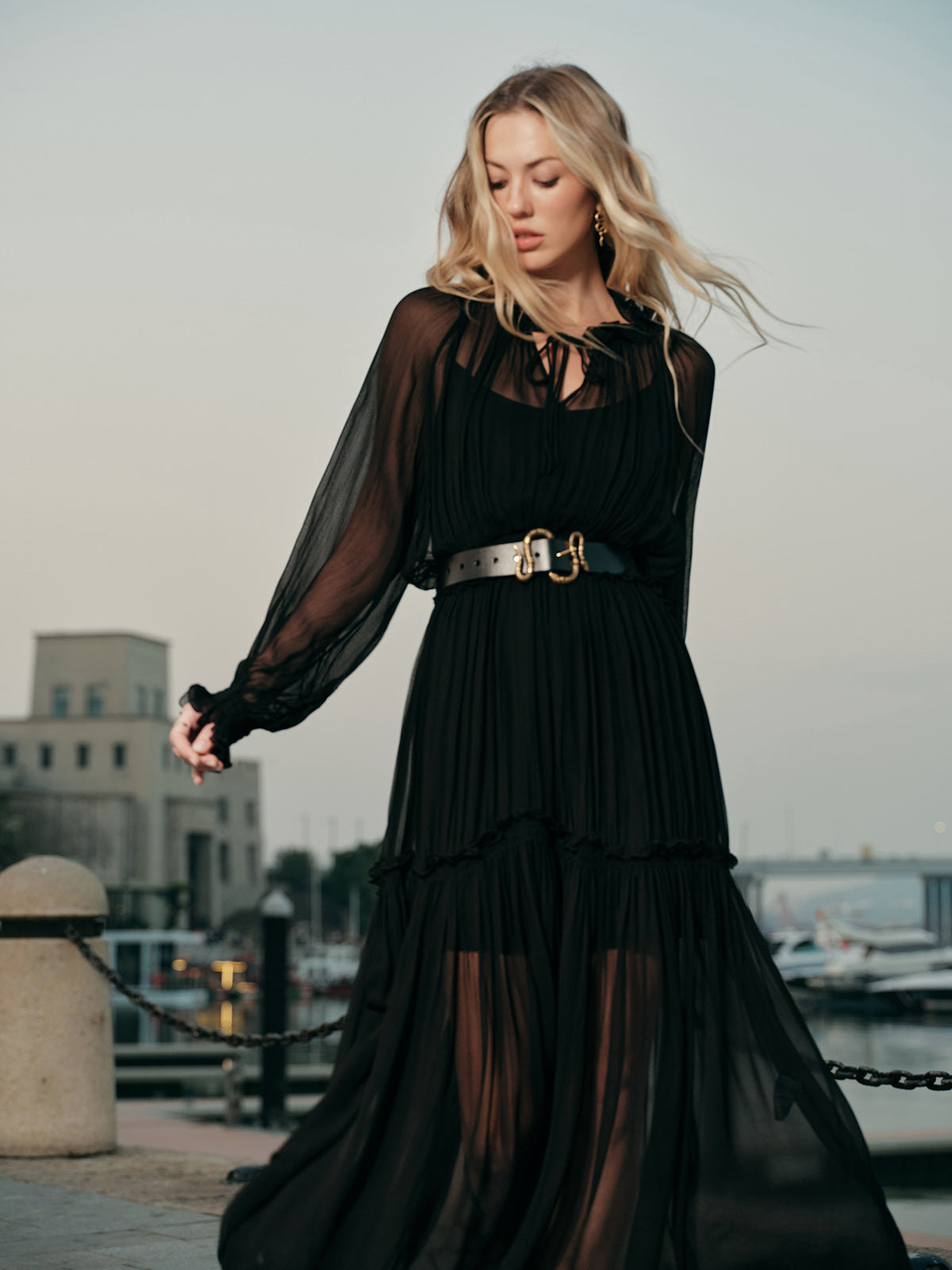 Tyrial Ruffled Chiffon Semi-Sheer Dress